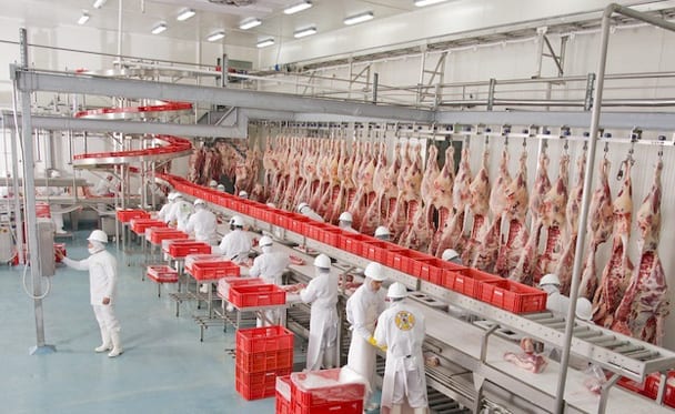 ¿Qué es la tecnología de la carne?