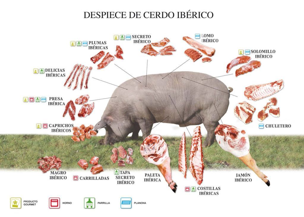 ¿Cuál es la parte del cerdo que tiene más sabor?